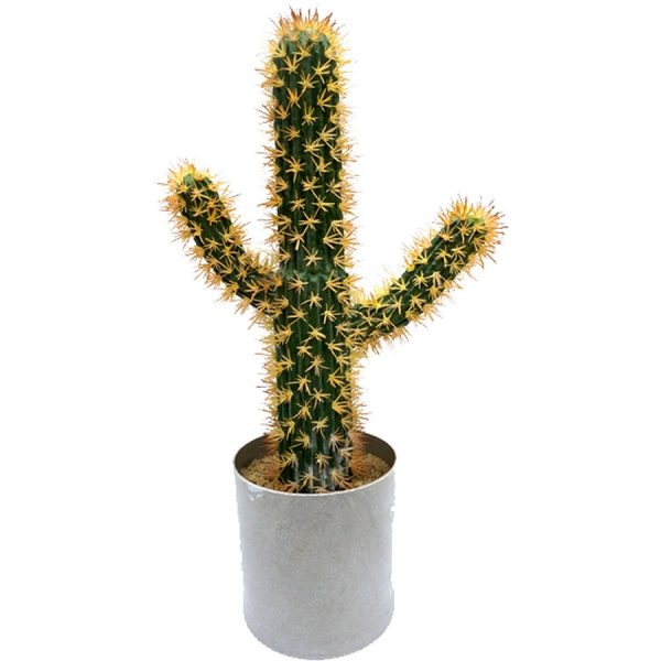 ΦΥΤΟ ΚΑΚΤΟΣ ΤΕΧΝΗΤΟ /57ΕΚ