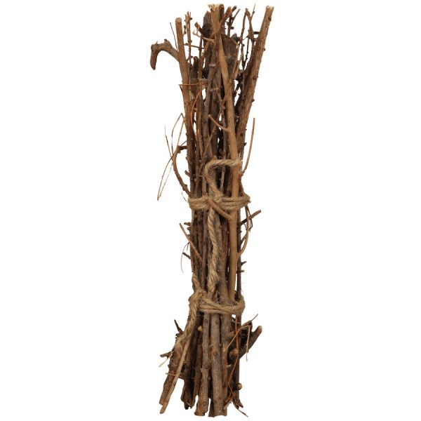 ΚΛΑΔΙΑ ΑΠΟΞΗΡΑΜΕΝΑ ΦΥΣΙΚΟ /40ΕΚ