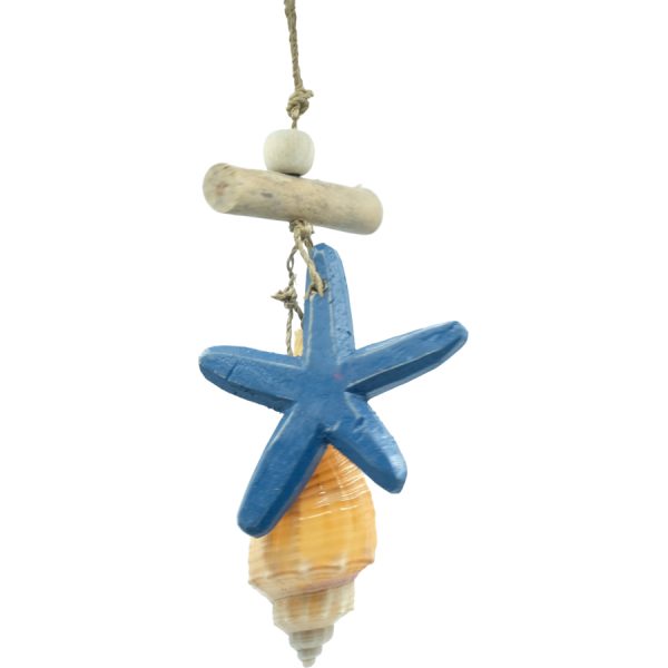 HANGING STAR SHELL