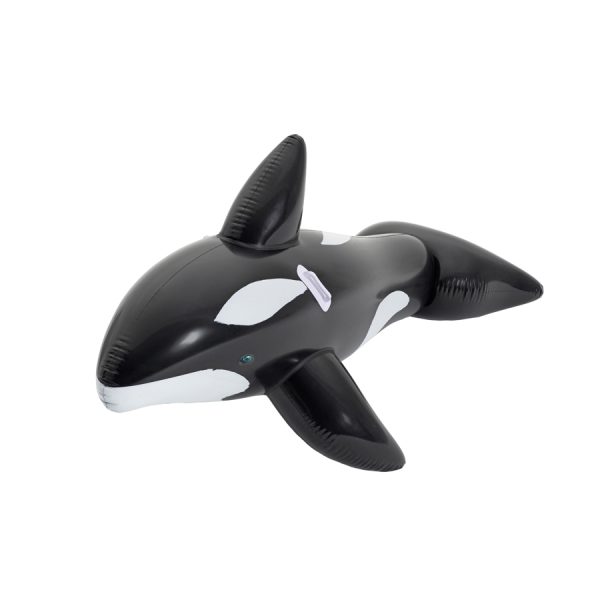 WHALE RIDER /203Χ102CM