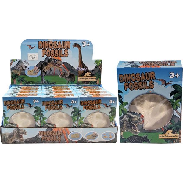 ΑΠΟΛΙΘΩΜΑ ΔΕΙΝΟΣΑΥΡΟΥ ΣΕ DISPLAY BOX /ΣΥΣΚ12